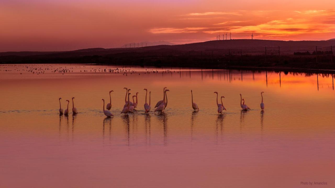 Viglamo Domaine Presqu'Ile De La Franqui Hotel Leucate Kültér fotó